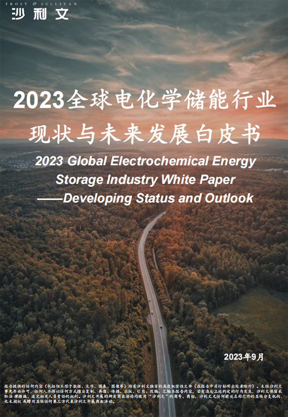 2023全球电化学储能行业现状与未来发展白皮书