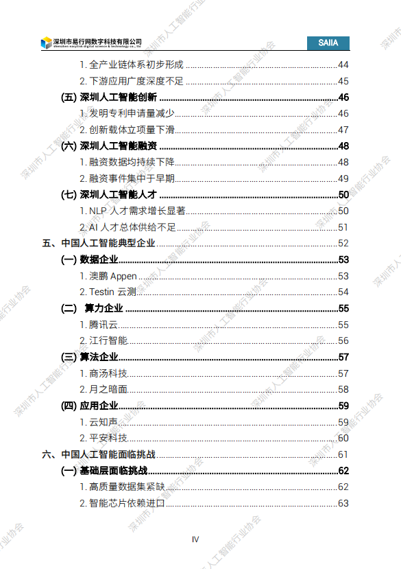 2024人工智能发展白皮书