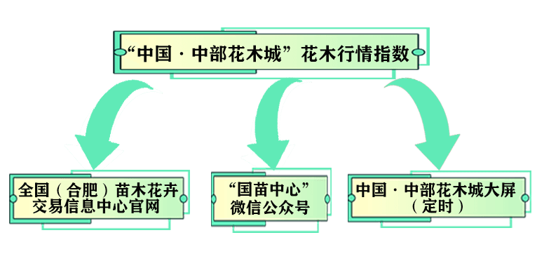 全省首支！“中国·中部花木城”花木行情指数上线试运行