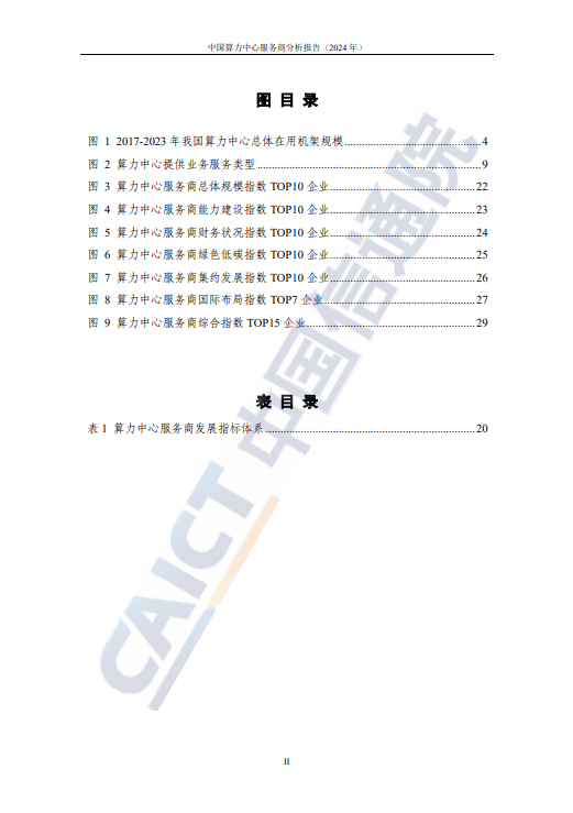 中国算力中心服务商分析报告(2024年) 